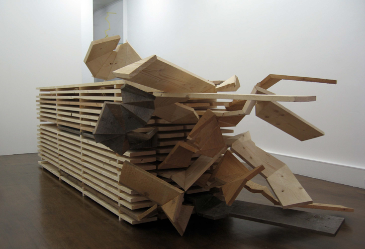 Philippe Poupet, Algoplot 2009, galerie Marion Meyer, Paris