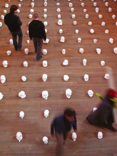 collection de crânes en plâtre - plaster skulls collection - colección calaveras en yeso