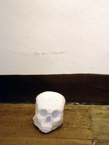 crâne en plâtre - plaster skull - calavera en yeso