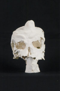 crâne en plâtre - plaster skull - calavera en yeso
