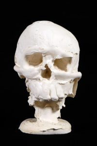 crâne en plâtre - plaster skull - calavera en yeso