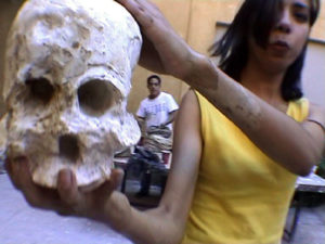 moulage de crâne en plâtre - casting plaster skull - moldeando calavera en yeso
